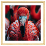 Close Up Flamingo Head With Bright Red Feathers thumbnail