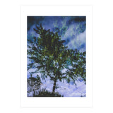 Skyfall (Print Only) thumbnail