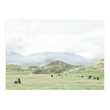 Relaxing horses on a sunny day calm field - Iceland (Print Only) thumbnail