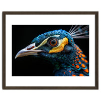 Close Up Of A Peacock Bird Head Eye