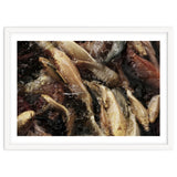 Fish01 thumbnail