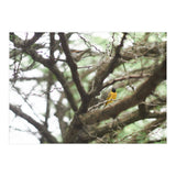Mini sun (Print Only) thumbnail