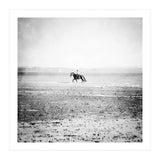 Sea Horse (Print Only) thumbnail