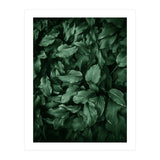 New Foliage Green Ii (Print Only) thumbnail