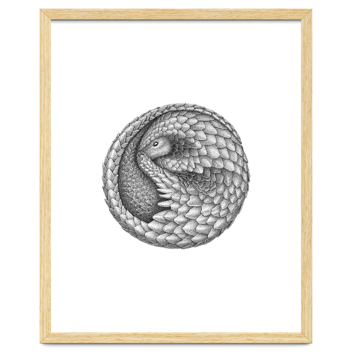 Pangolin no. 2