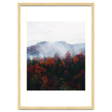 Fog thumbnail