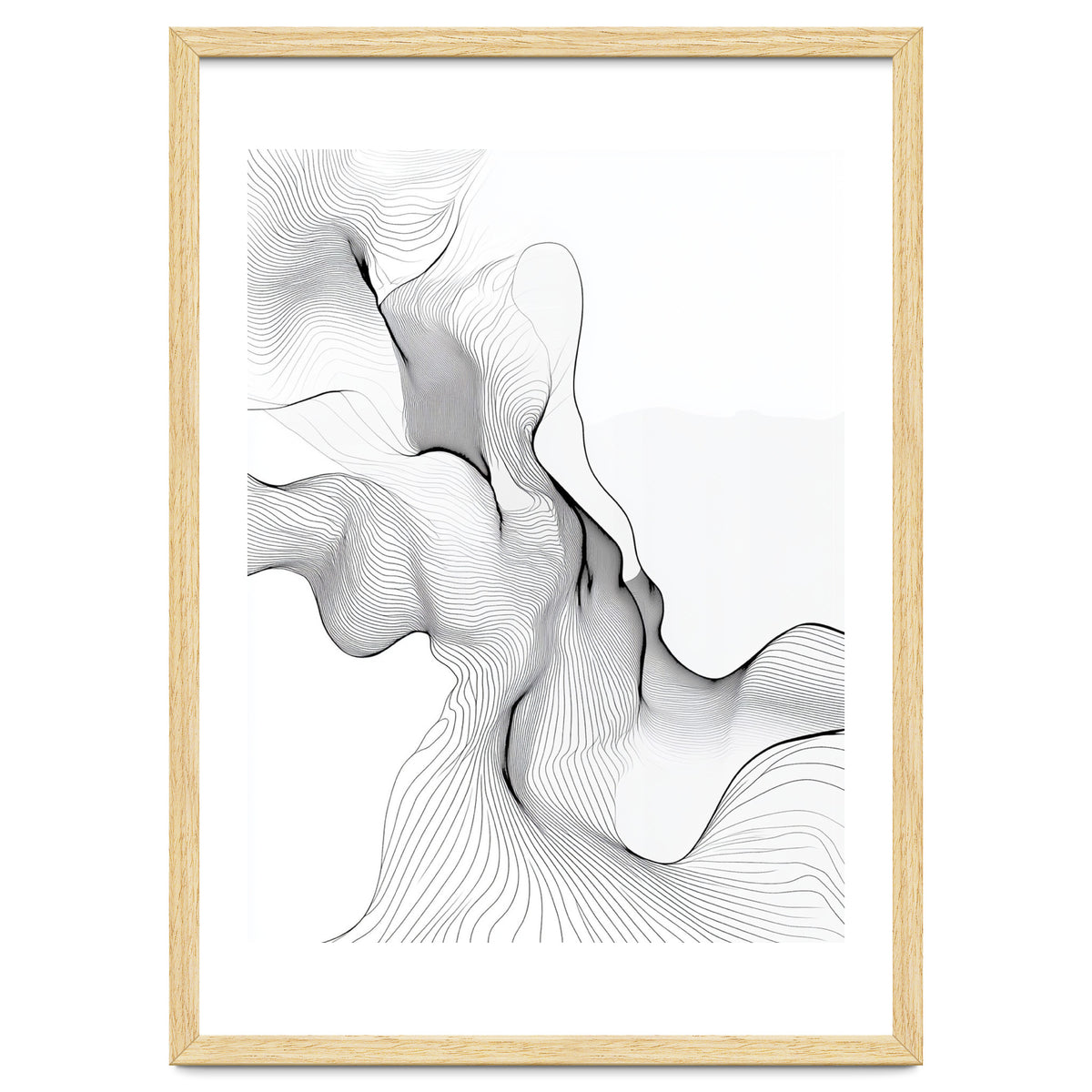 Abstract Black And White Flowing Lines