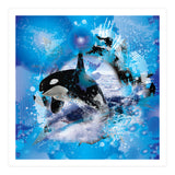 Orca (Print Only) thumbnail