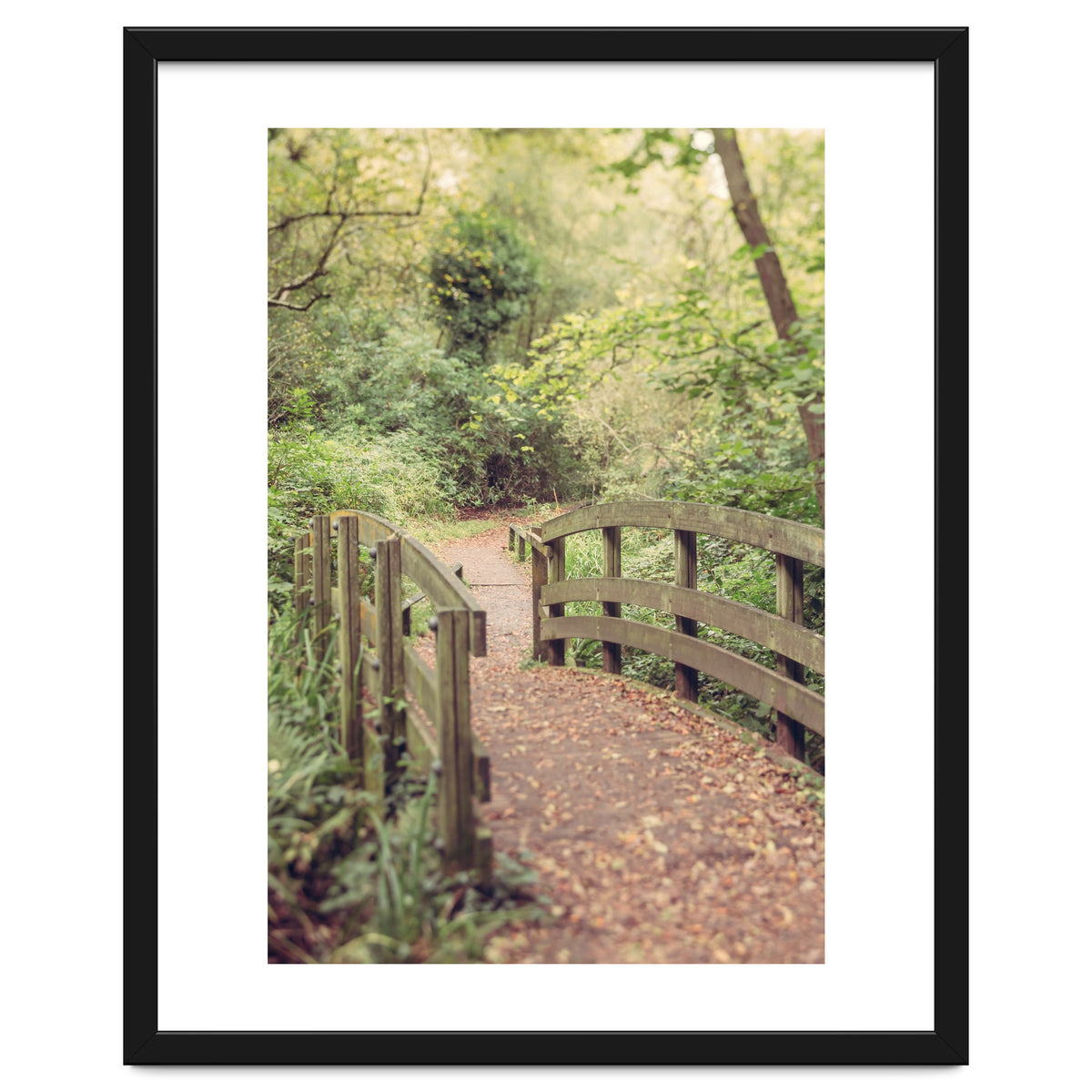 Path To The Bridge