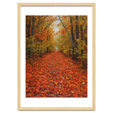 Lush Autumn Forest Path Covered thumbnail
