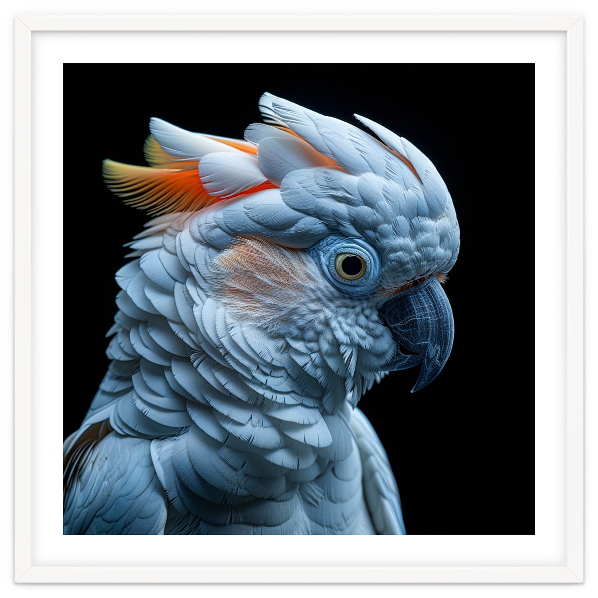 Close Up Of A Cockatoo Parrot Head