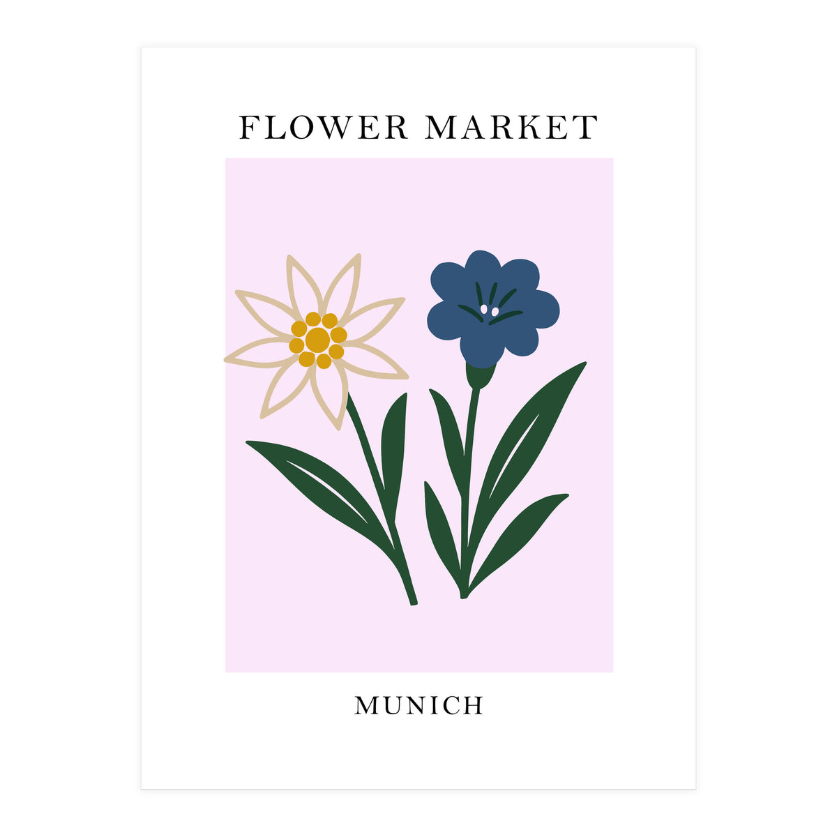 Munich Flower Market - Minimalist Edelweiss Botanical Print (Print Only)