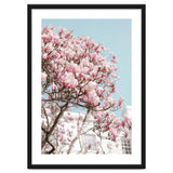 Spring Time thumbnail