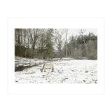 White horse in the snow field (Print Only) thumbnail