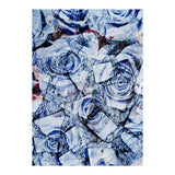 Not All Rosy (Print Only) thumbnail