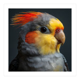 Cockatiel Parrot Closeup Vibrant Feather  (Print Only) thumbnail