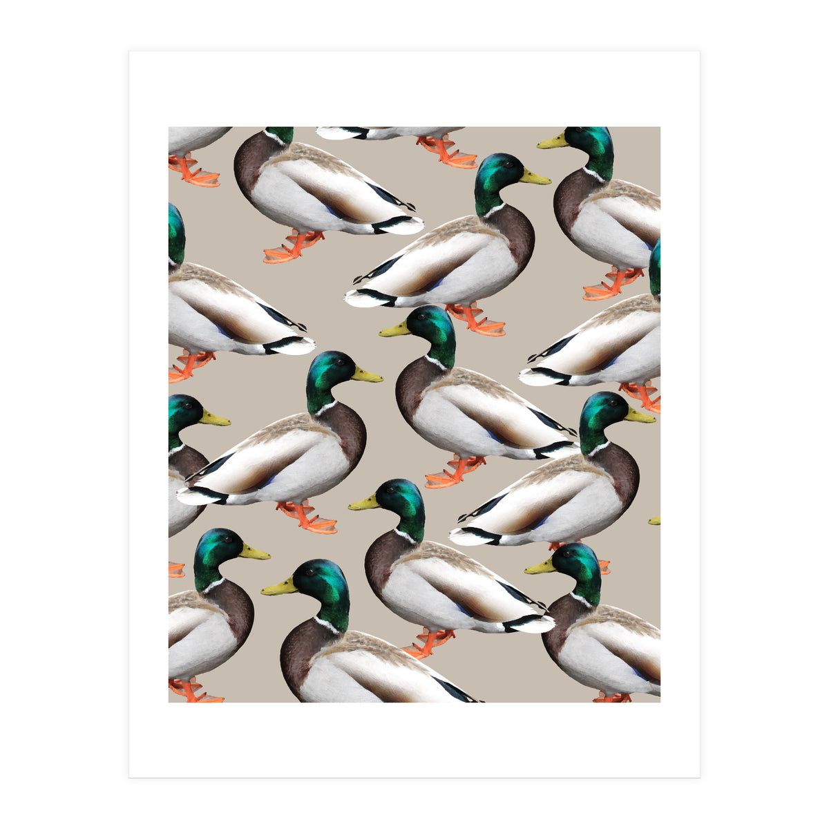Mallards (Print Only)