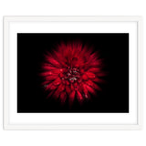 Backyard Flowers No 45 Color Flow Version thumbnail