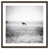 Sea Horse thumbnail