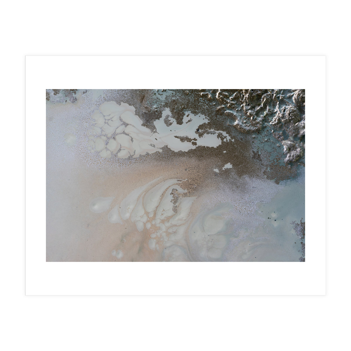 Life Unfolding (Print Only)