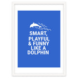 Smart, playful and funny like a dolphin thumbnail