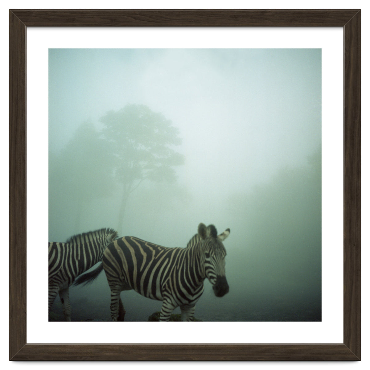 Silence of breath - 16