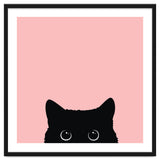 Black cat thumbnail