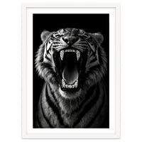 Roaring Tiger portrait