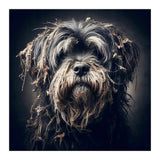 Old Dog 03 (Print Only) thumbnail