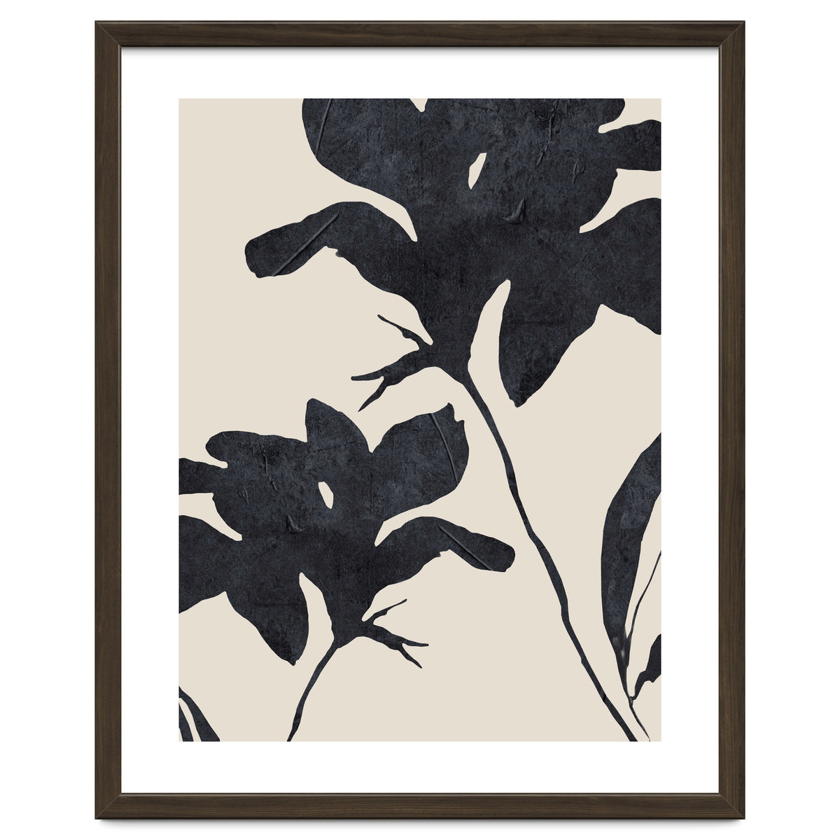 Shadowed Blooms