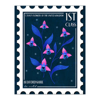 Bedfordshire Bee Orchid Postage Stamp (Print Only)