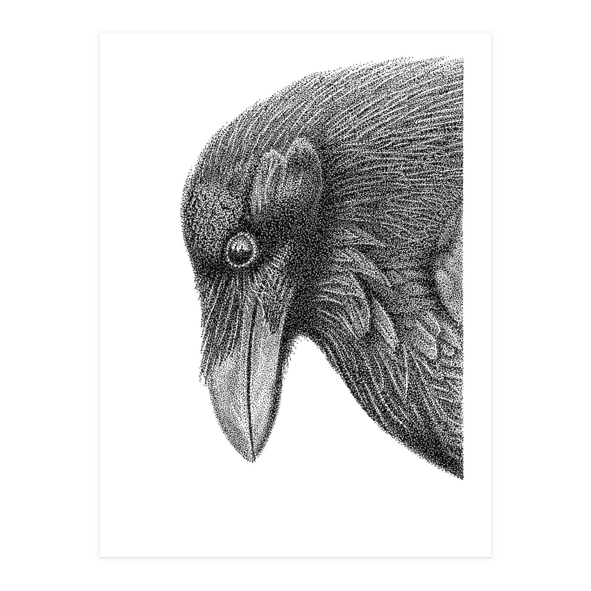 Huginn (Print Only)
