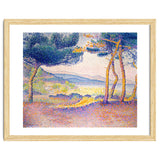Pines Along the Shore. thumbnail