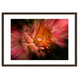 Backyard Flowers No 40 Color Flow Version thumbnail