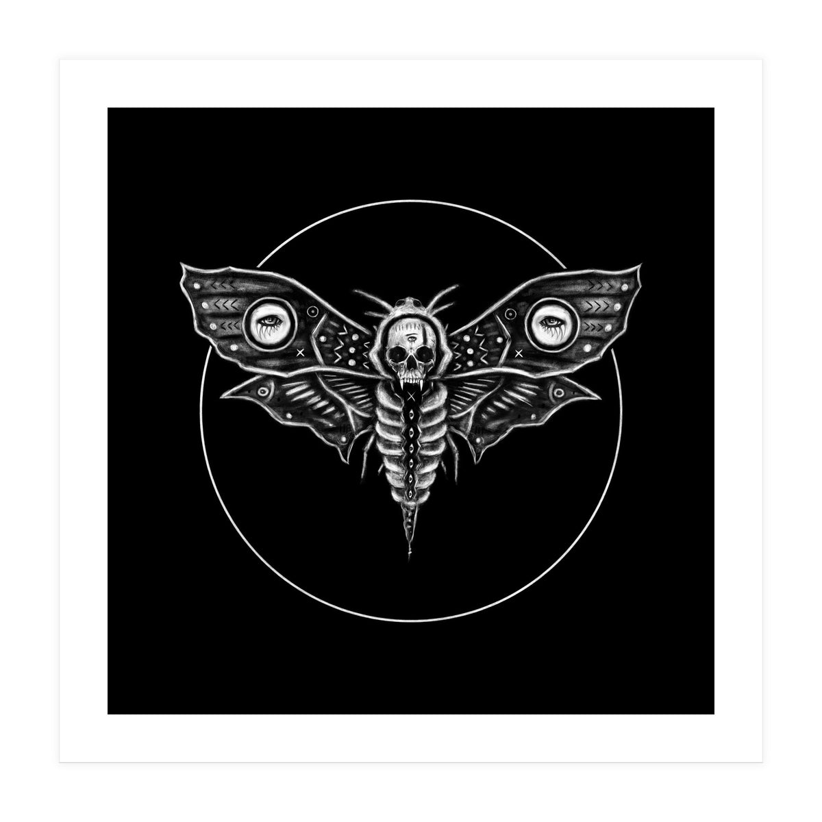 Deaths Head Moth (Print Only)