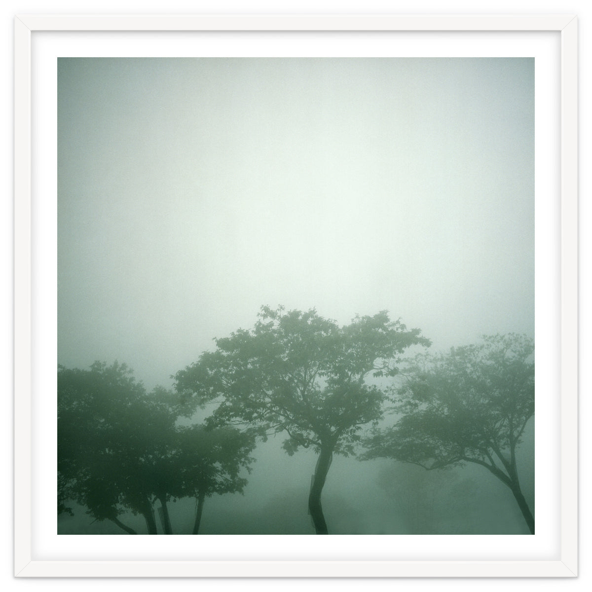 Silence of breath - 17