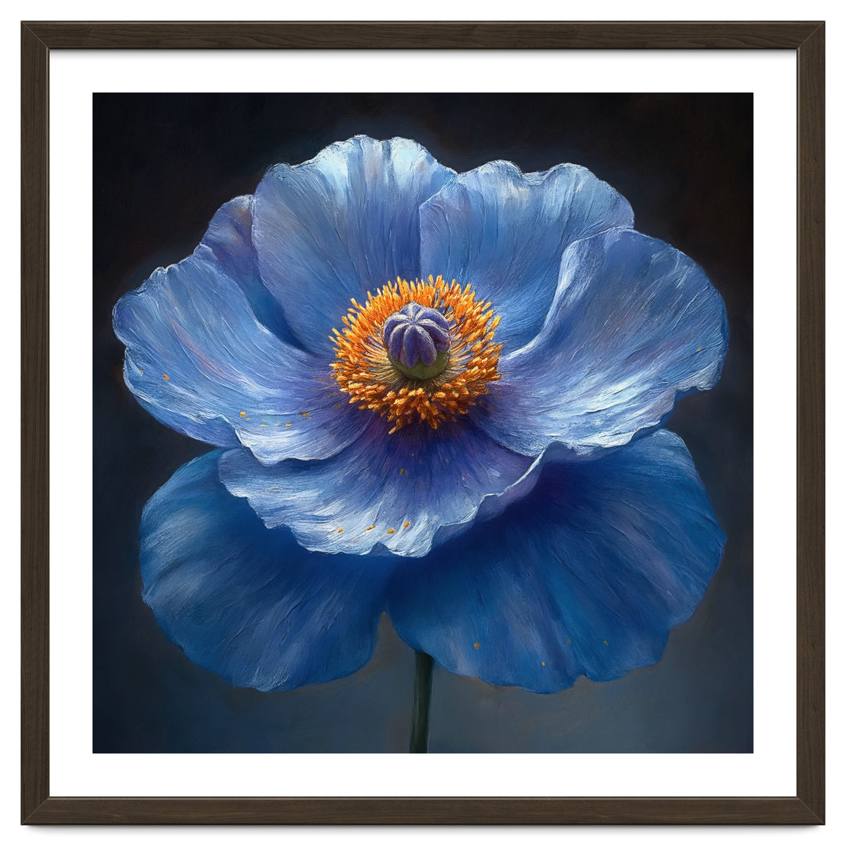 Meconopsis | Sapphire Serenade