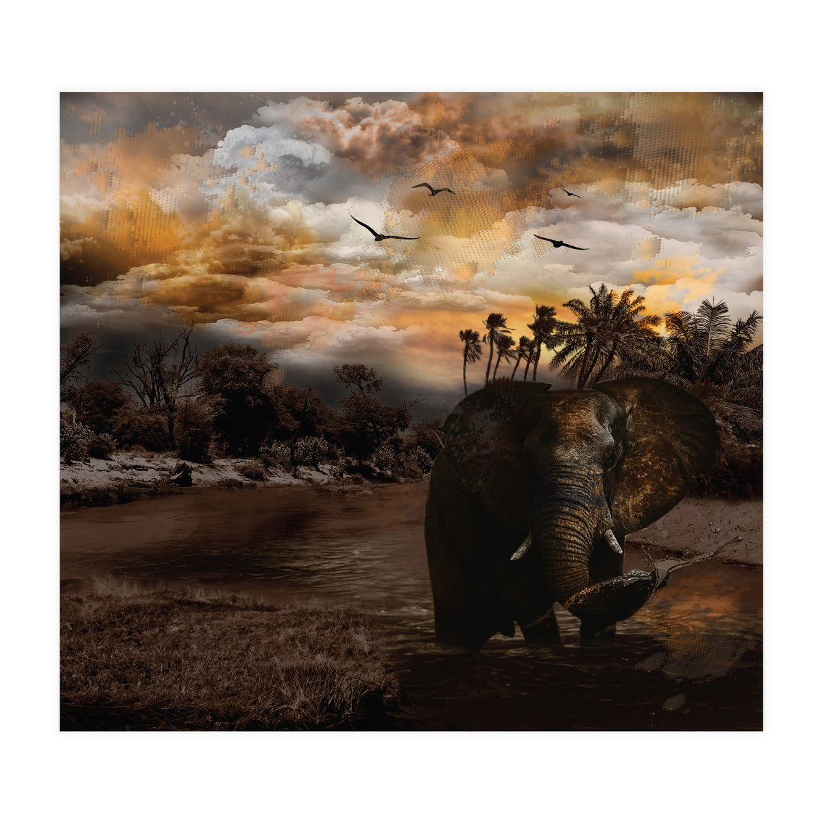 Elephant Scenic Golden Sunset African Wildlife Landscape (Print Only)