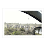 LIVING TOGETHER - WHITE COWS FAMILY (Print Only) thumbnail