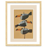 Tropic Trio