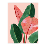 Blush Tropical, Banana Leaves Watercolor Botanical Jungle Painting, Forest Plants Leaves Pink Chic Bohemian (Print Only) thumbnail