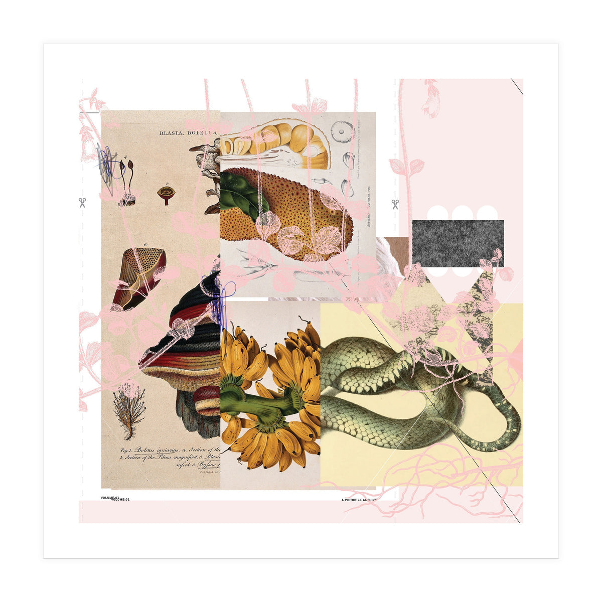 Abstract White Daydream Flower (Print Only)