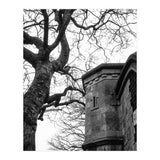 Stark Contrast (Print Only) thumbnail