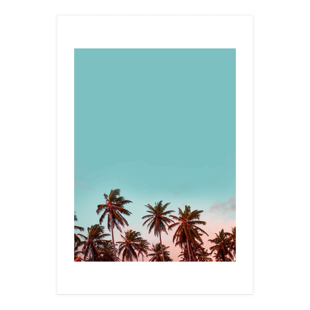 California (Print Only)