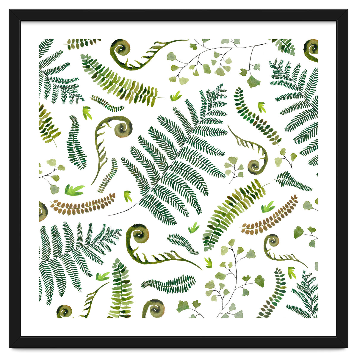 Spring Fern Pattern
