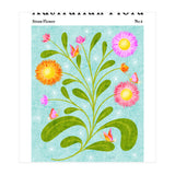 Australian Flora: Straw Flower (Print Only) thumbnail