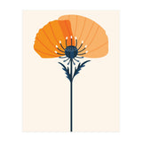 Orange Half Poppy (Print Only) thumbnail