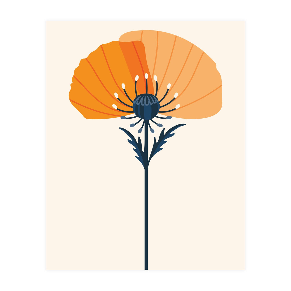 Orange Half Poppy (Print Only)