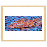 Little fish thumbnail