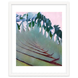 Palm Springs thumbnail
